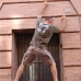 DSC_3330.jpg