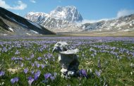 29-30 luglio 2017  Alpinismo: Gran Sasso