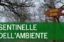 Sentinelle dell'ambiente