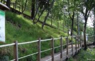 27-28 maggio 2017  Orto Botanico “Pietro Pellegrini” Pian della Fioba (MS) Monte Pelato