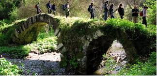 etruria