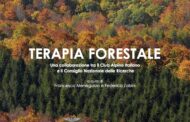 5-6 Giugno Camaldoli: corso di formazione per gestione Stazioni di Terapia Forestale
