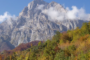 5 Novembre 2023 - Castagnata sull'Alpe