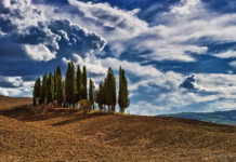 3 Ottobre 2026: Vigne e Francigena (APERTA AI NON SOCI)