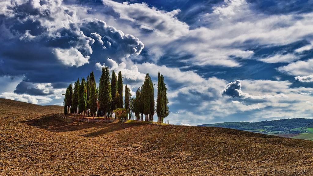 Francigena